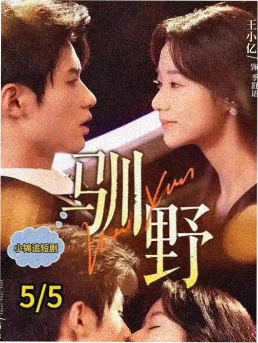 秘密韩剧·双面玫瑰 剧照